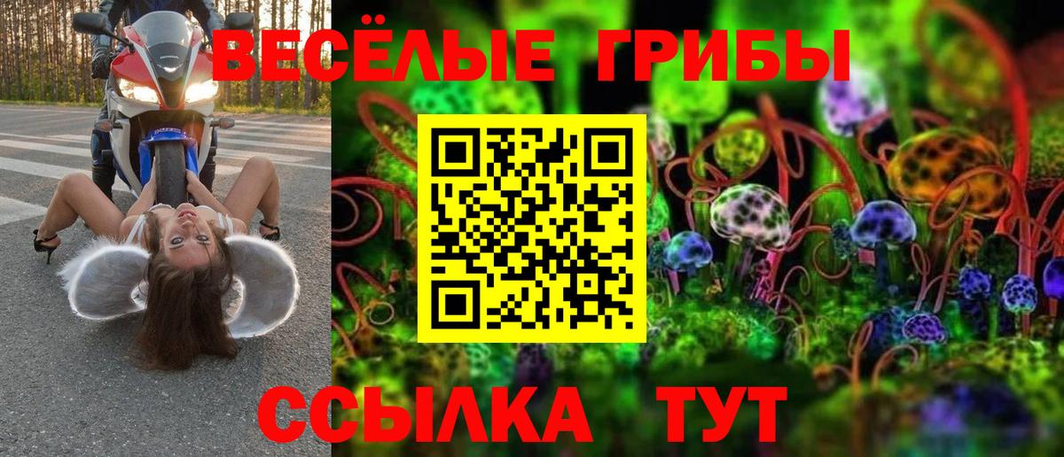 Псилоцибиновые грибы прущие грибы  Вход с VPN  Псилоцибиновые грибы Cubensis  Бердск 