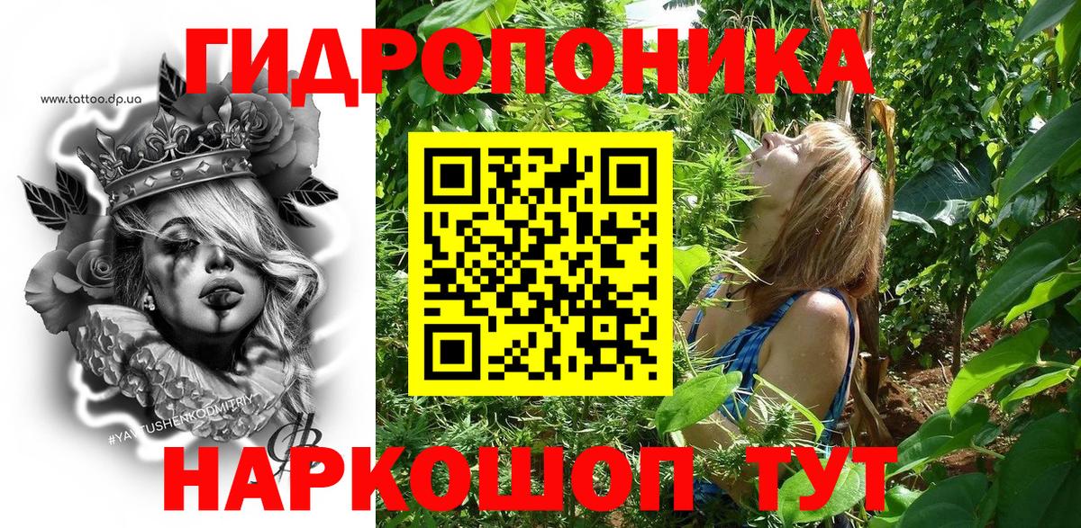 Шишки марихуана план  Вход с VPN  Марихуана SATIVA & INDICA  Конопля марихуана  Бердск 